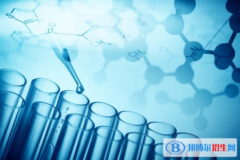 雅安中專學(xué)校讀什么專業(yè)好