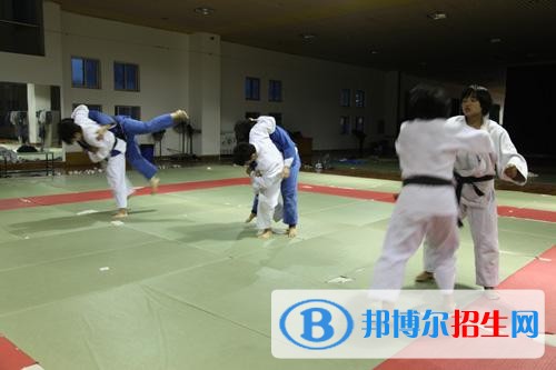 運動4