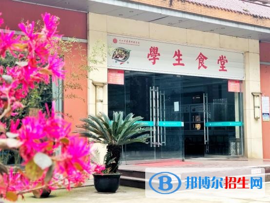 樂山醫(yī)藥科技學(xué)校高級技工學(xué)校5