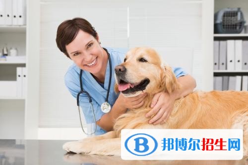 河北中專學(xué)校哪個比較好