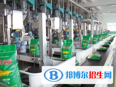 河北中專學(xué)校什么時候招生