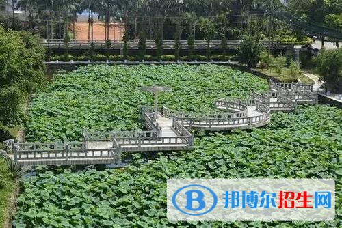 廣西農(nóng)業(yè)職業(yè)技術(shù)學(xué)院單招2019年單獨招生報名條件、招生要求、招生對象