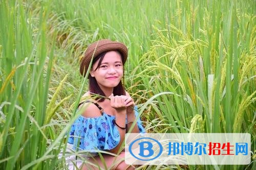 廣西生態(tài)工程職業(yè)技術學院單招2019年單獨招生成績查詢、網(wǎng)址入口