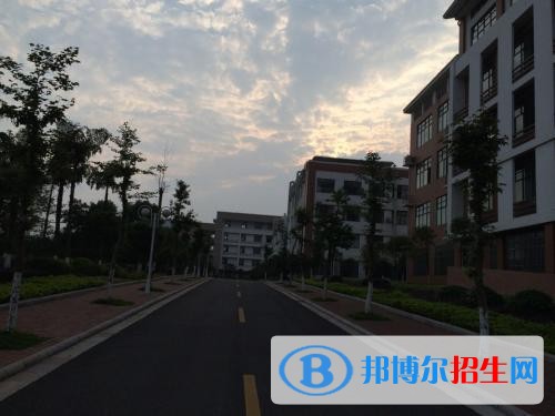 2019年單獨招生報名條件、招生要求、招生對象