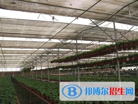 新疆生產建設兵團興新職業(yè)技術學院單招2019年單獨招生成績查詢、網址入口