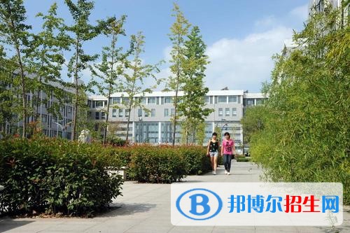 山東理工職業(yè)學院單招2019年單獨招生成績查詢、網址入口