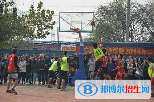 遼寧體育運動職業(yè)技術(shù)學院單招2019年單獨招生報名時間、網(wǎng)址入口