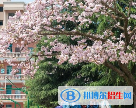 安順第三高級中學(xué)2019年報(bào)名條件、招生要求、招生對象