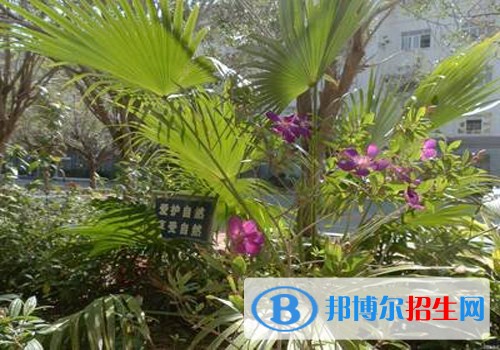 中職學校怎么安置學生的就業(yè)