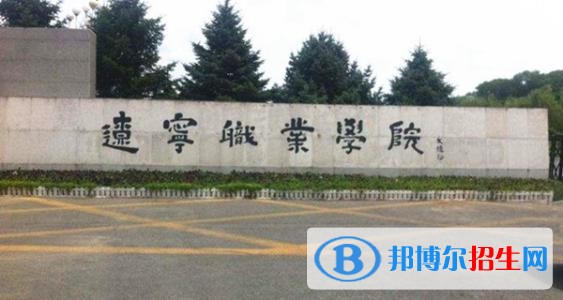 遼寧職業(yè)學院單招2019年單獨招生成績查詢、網址入口