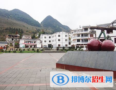 赫章縣平山農業(yè)技術高級中學2019招生簡章