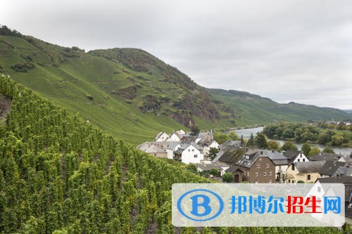福州科技職業(yè)技術(shù)學(xué)院?jiǎn)握?019年單獨(dú)招生成績(jī)查詢、網(wǎng)址入口
