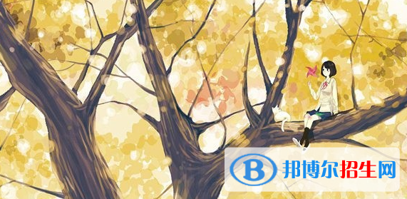 不正規(guī)幼兒園才會(huì)導(dǎo)致虐童事件