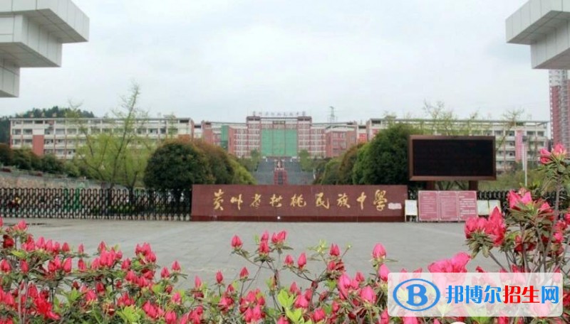 松桃民族中學(xué)2020年招生計劃