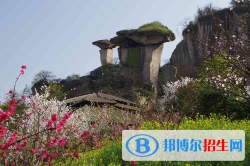 紹興職業(yè)技術(shù)學(xué)院五年制大專2019年招生辦聯(lián)系電話