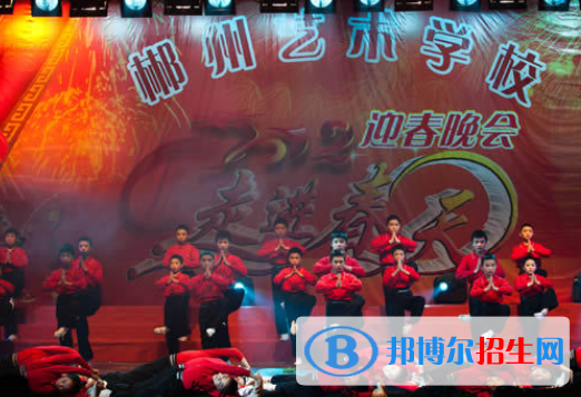 郴州文藝職業(yè)中等專業(yè)學校2