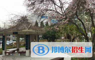 成縣職業(yè)中等專業(yè)學(xué)校2020年報名條件、招生要求、招生對象