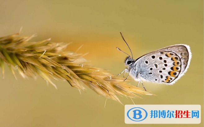 甘肅初中生可以讀的鐵路學校