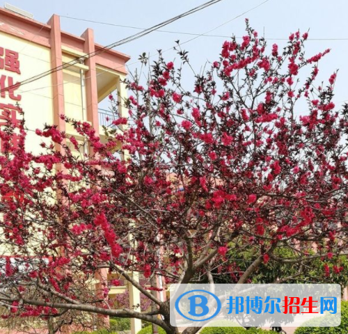 西安臨潼區(qū)職業(yè)教育中心怎么樣、好不好