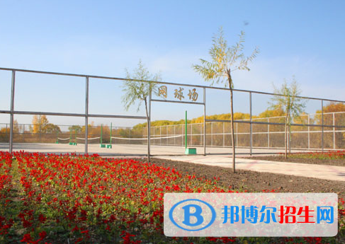 鶴崗師范高等專(zhuān)科學(xué)校單招2020年單獨(dú)招生報(bào)名時(shí)間、網(wǎng)址入口  