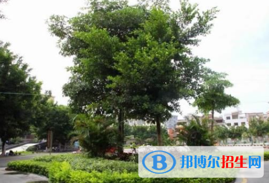 羅定中等職業(yè)技術(shù)學(xué)校2020年報(bào)名條件、招生要求、招生對象