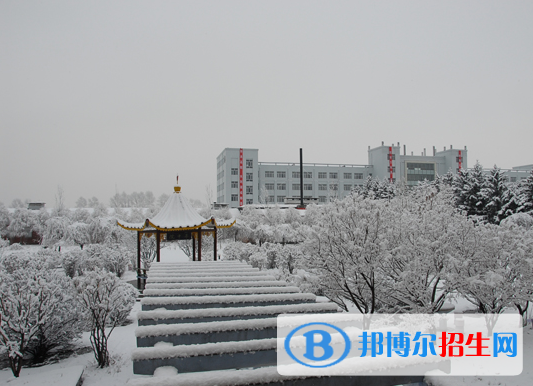 佳木斯職業(yè)學(xué)院?jiǎn)握?020年單獨(dú)招生成績(jī)查詢、網(wǎng)址入口 