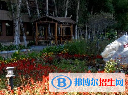 佳木斯職業(yè)學(xué)院?jiǎn)握?020年單獨(dú)招生報(bào)名時(shí)間、網(wǎng)址入口  
