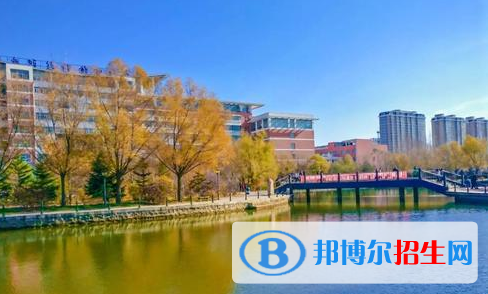 黑龍江生物科技職業(yè)學(xué)院單招2020年單獨(dú)招生成績查詢、網(wǎng)址入口