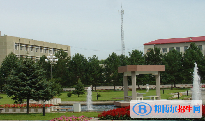 大慶職業(yè)學(xué)院單招2020年單獨(dú)招生成績查詢、網(wǎng)址入口