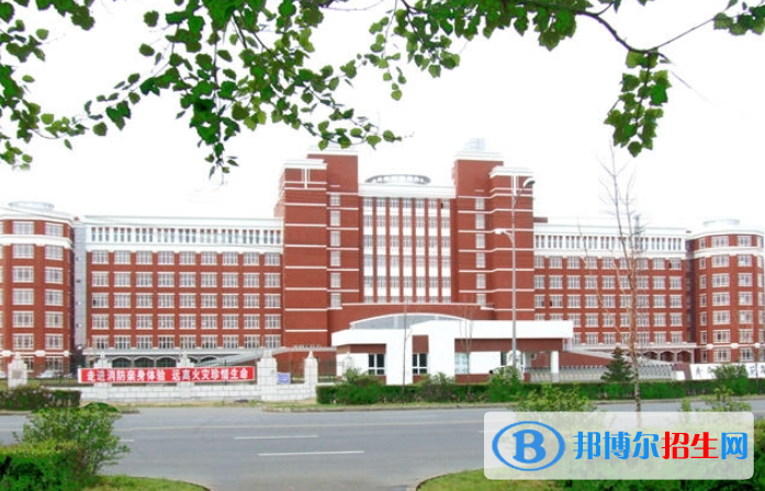 哈爾濱幼兒師范高等專科學(xué)校單招2020年單獨招生報名時間、網(wǎng)址入口