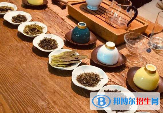 南昌女子中等專(zhuān)業(yè)學(xué)校2020年有哪些專(zhuān)業(yè)
