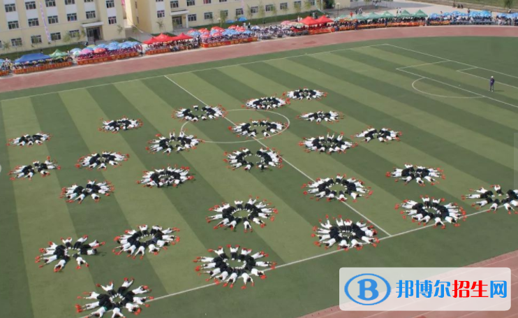 哈爾濱應(yīng)用職業(yè)技術(shù)學(xué)院?jiǎn)握?020年單獨(dú)招生成績(jī)查詢、網(wǎng)址入口