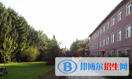 黑龍江三江美術(shù)職業(yè)學(xué)院?jiǎn)握?020年單獨(dú)招生成績(jī)查詢(xún)、網(wǎng)址入口