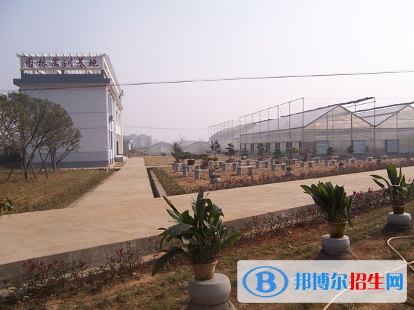 農(nóng)業(yè)7