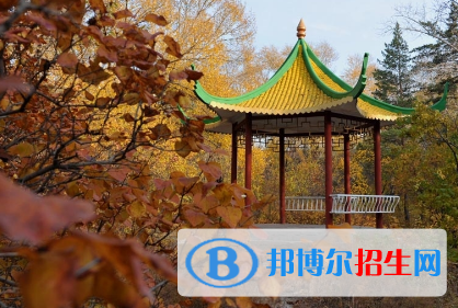 齊齊哈爾理工職業(yè)學(xué)院?jiǎn)握?020年單獨(dú)招生成績(jī)查詢、網(wǎng)址入口