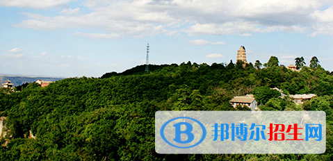 平?jīng)鲠轻嘉奈鋵W校2020年有哪些專業(yè)