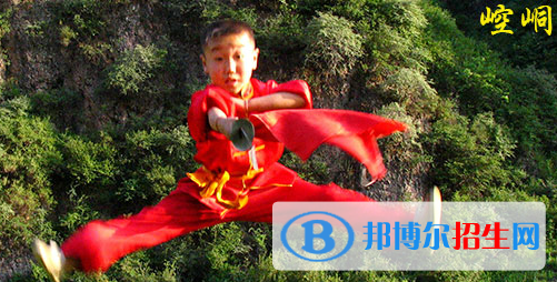 平?jīng)鲠轻嘉奈鋵W(xué)校2020年學(xué)費(fèi)、收費(fèi)多少