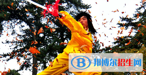 平?jīng)鲠轻嘉奈鋵W(xué)校2020年報名條件、招生要求、招生對象