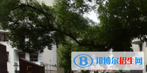 廣西烹飪學(xué)校2020年招生辦聯(lián)系電話 