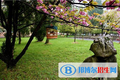 貴州林業(yè)學(xué)校2020年報名條件、招生要求、招生對象