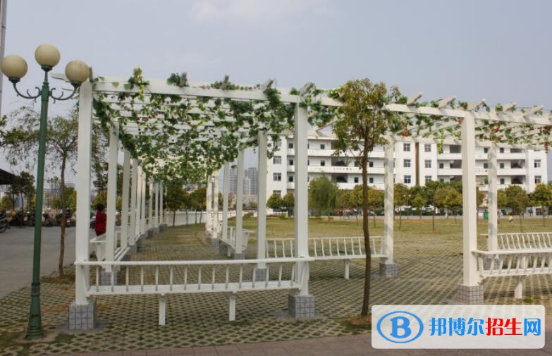 貴州興仁民族職業(yè)技術(shù)學校2020年有哪些專業(yè)