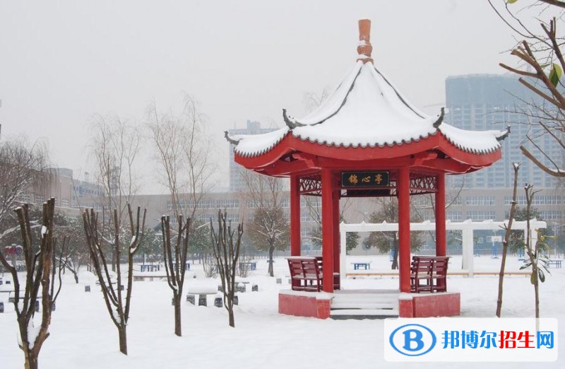 學(xué)校15