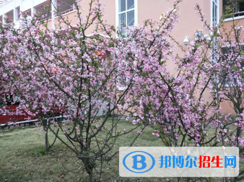 都昌北炎農(nóng)業(yè)職業(yè)中學(xué)2020年招生辦聯(lián)系電話