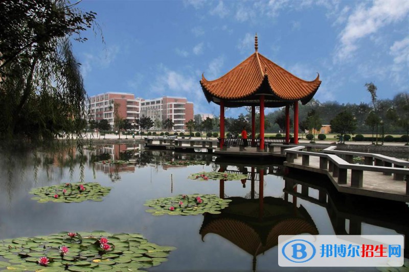 黃梅第五高級中學(xué)2020年有哪些專業(yè)