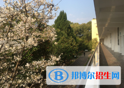 湖南2020年鐵路學(xué)校學(xué)什么