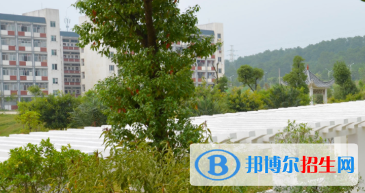 廣西賀州職業(yè)學(xué)院2020年報(bào)名條件、招生要求、招生對(duì)象 