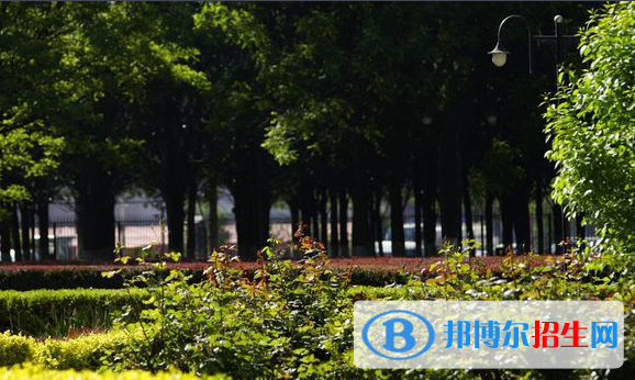 財(cái)政2