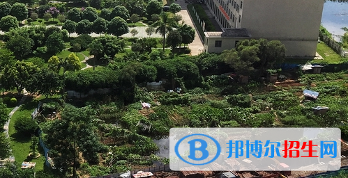 廣西工商技師學(xué)院2020年報(bào)名條件、招生要求、招生對象 
