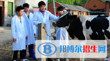 甘南畜牧學(xué)校2020年學(xué)費(fèi)、收費(fèi)多少