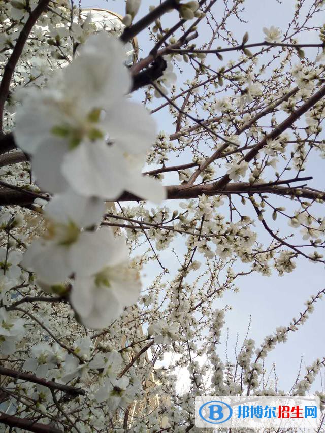 長(zhǎng)春4